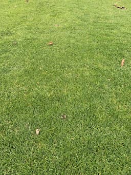 Course Image 2