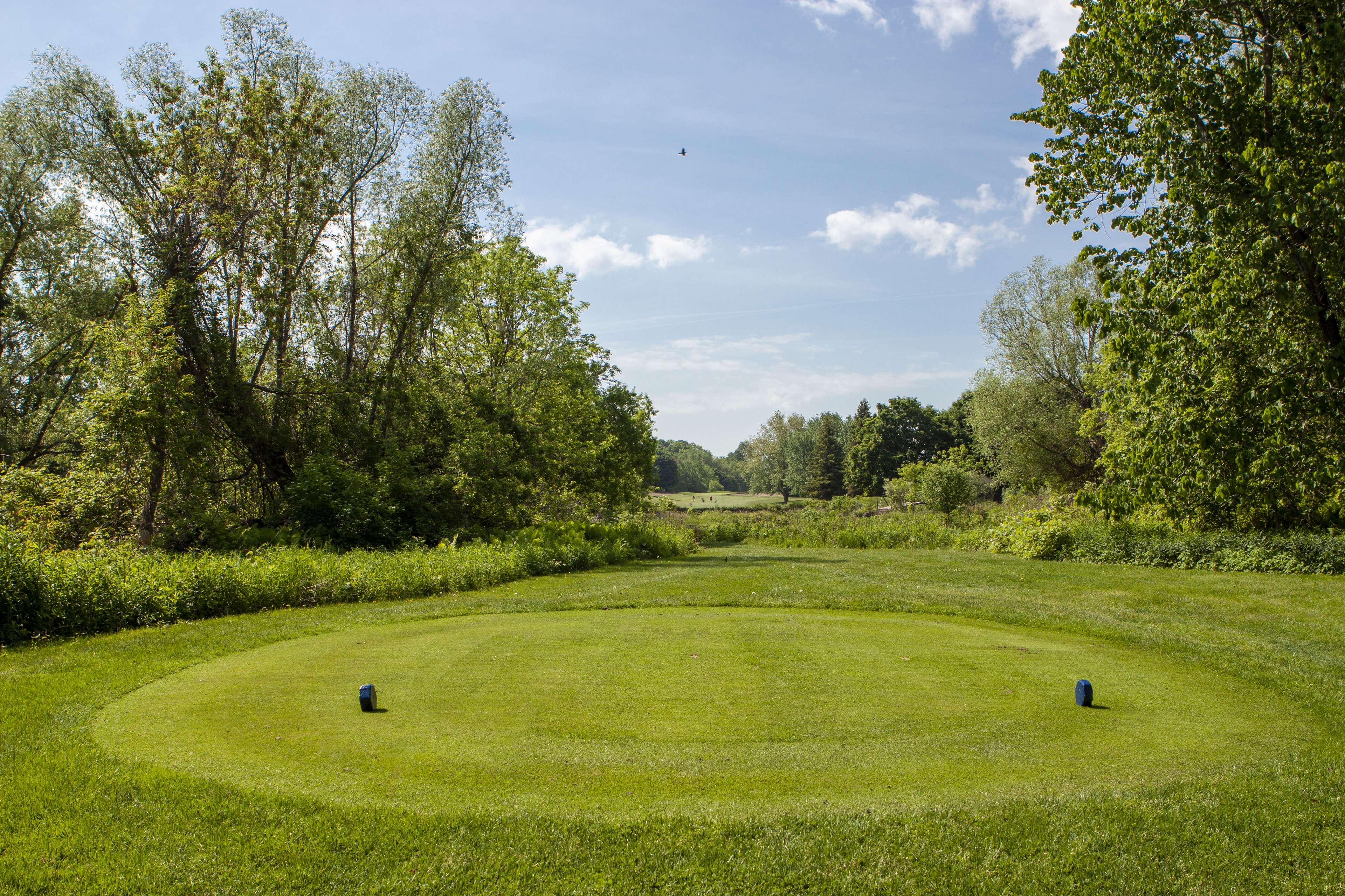 Riverside Golf Club golf course