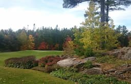 Course Image 1