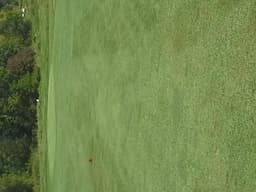 Course Image 1