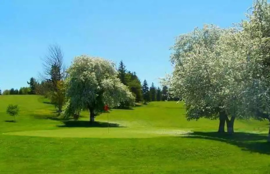 Springhill Centennial Golf Club golf course