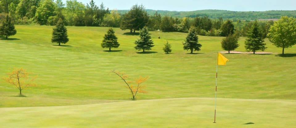 Trenton Golf Club golf course